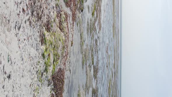 Zanzibar Tanzania  Vertical Video of Low Tide in the Ocean Near the Coast Slow Motion