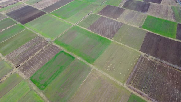Cultivated Lands And Vineyards Aerial
