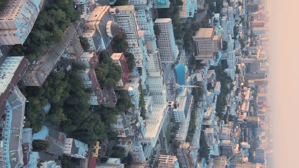 Vertical Video  Kyiv Ukraine Aerial View of the City