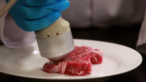 Scientist Using Technology to Analyse Piece of Meat