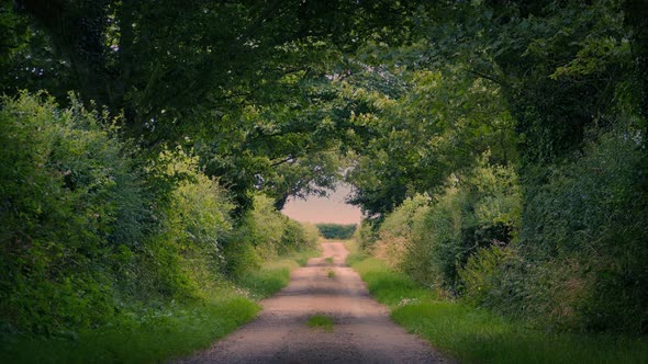 Pretty Sunrise Rural Scene With Long Road