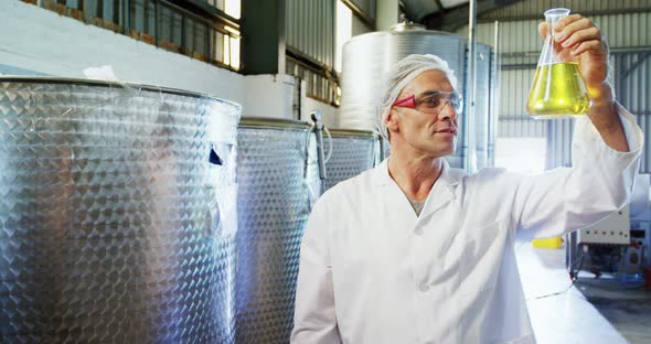 Technician examining olive oil