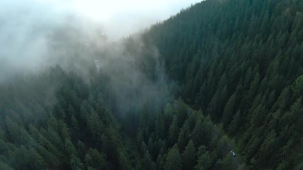 Aerial View of the Road Among the Mountains Covered with Coniferous Forest