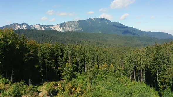 Aerial push in towards Postavarul Massif near mountain town of Predeal, Romania