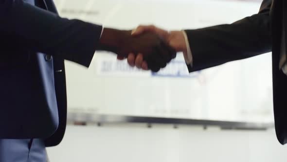 Multiethnic Business Partners Shaking Hands