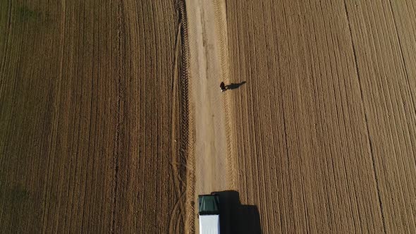 Female Photographer Walks Between Sown Fields