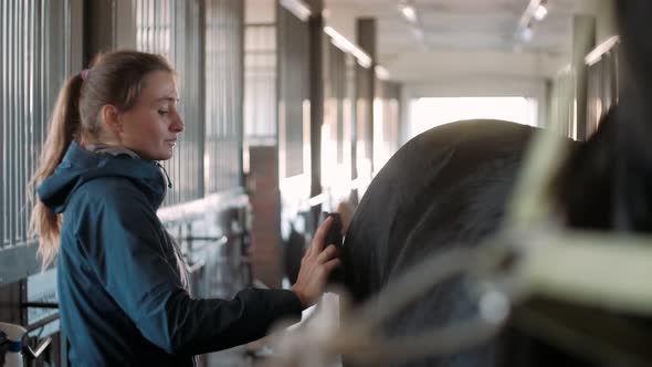 Woman Rider Taking Care of a Black Horse and Brushing It in the Stable