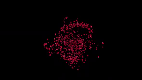 Red Rose Petals Swirl  alt