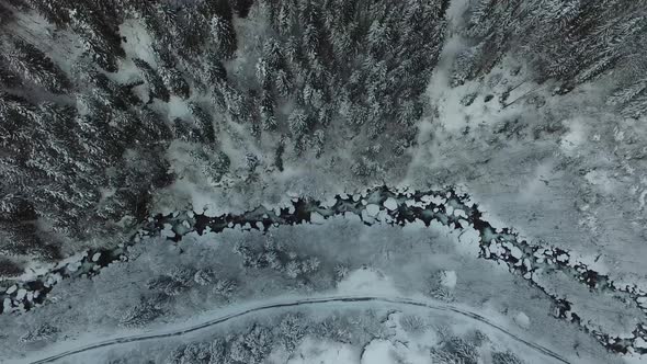 The Drone Rises Over the Snow-kaçkar mountain park Unreal Winter Trees. (Stock Footage)