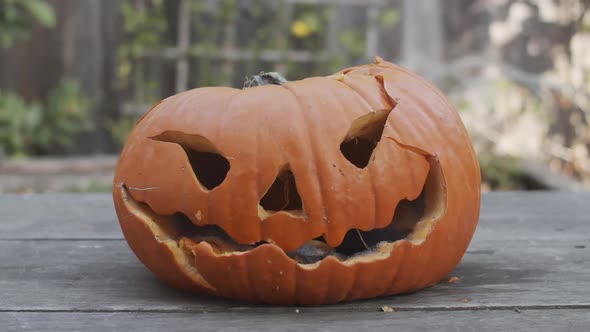 Slow motion close-up of a rotten jack-o-lantern being smashed with a hammer.