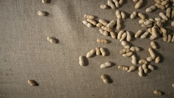 Unpeeled Peanut Falling and Scattering on a Burlap Cloth