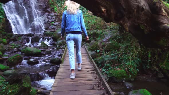 Mirveti waterfall in Georgia . The camera flies through an arch in a tree.