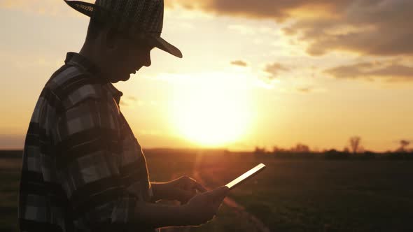 Young Farmer Standing in a Wheat Field and Looking at Tablet