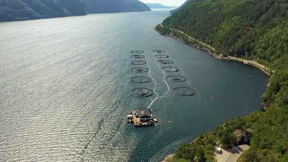 Farm Salmon Fishing in Norway