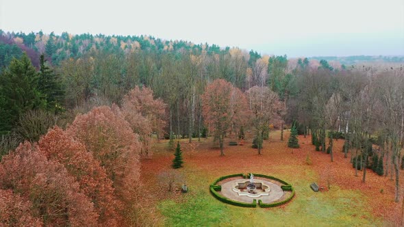 Aerial shot of forest landscape. Aerial view of beautiful nature landscape scene