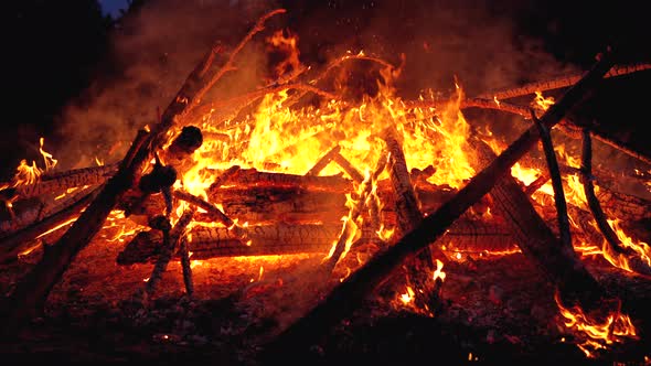 Big Campfire of the Branches Burn at Night in the Forest. Slow Motion