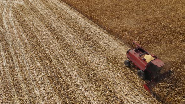 Red Farm Combine Harvesting Corn on an Autumn Day