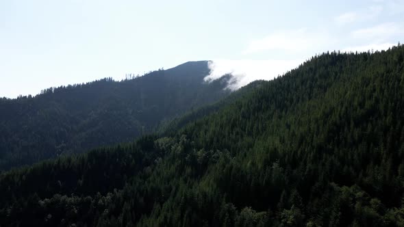 Tracking below a high mountain forest ridge covered with advection fog, aerial