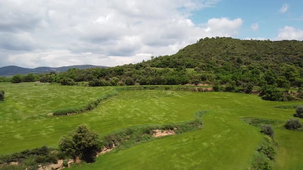 Aerial Green Fields on Windy Day