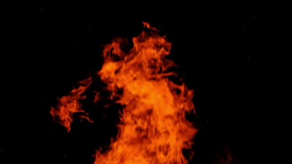 Fire Flames on a Black Background in Slow Motion Bonfire Burning at Night