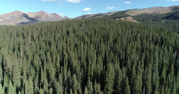 Top of Kebler Pass near Crested Butte Colorado 2019