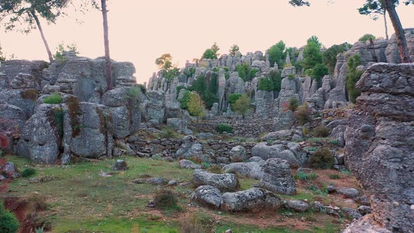 Majestic Landscape with Stunning Gray Rock Formations and Coniferous Trees