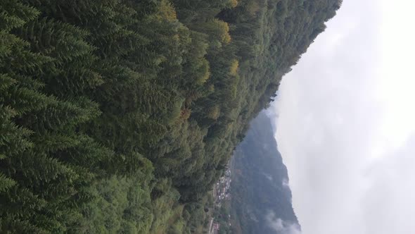 Vertical Video Carpathian Mountains