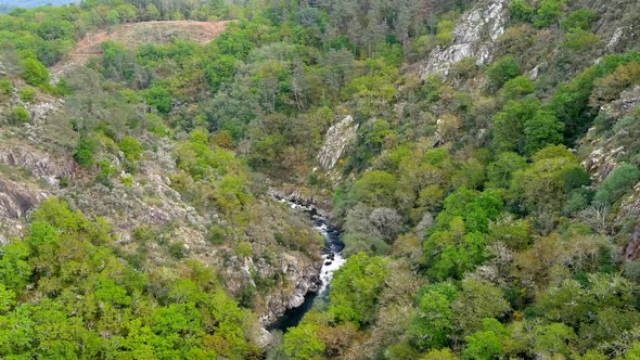 Aerial Flying Over Forest Ravine With River Deza Weaving Through. Dolly Forward