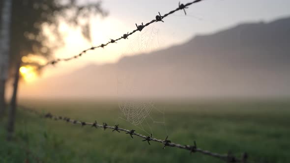 Spider'S Web Hanging From Barbed Wire In Field