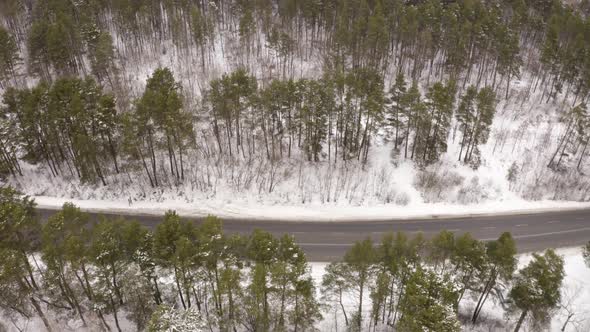 Winter Road Near The Forest