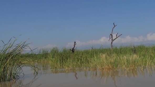 Baringo Lake Landscape, Kenya, slow motion