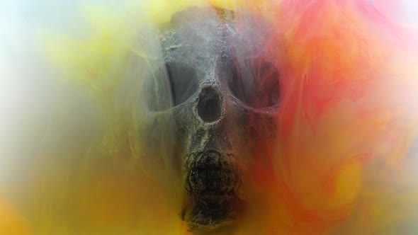 Slowmotionement around the human skull of fog made from different colored powders. Scary and creepy