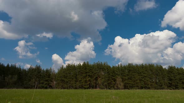 White Clouds Floating Over The Forest