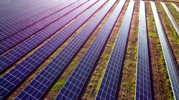 Violet Blue Purple Lines of Blocks of Solar Panels Solar Power Plant in Field