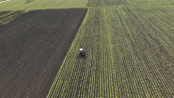 Flight of the Drone Over the Green Wheat Field and Over a Tractor Working in the Field