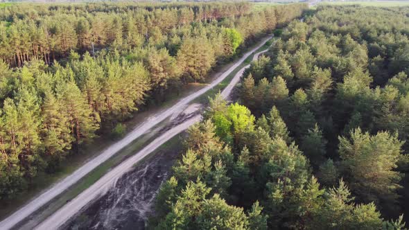 Aerial View Of Green Forest Landscape