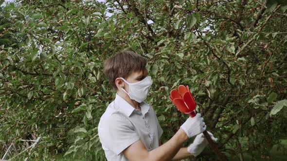 Caucasian Man Takes Green Apple Out of Picker Examines It and Leaves