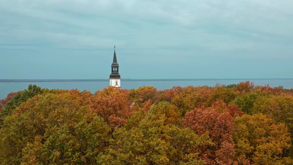 Autumn Morning