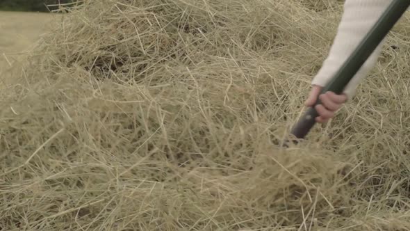 Farmer turning haystack with fork
