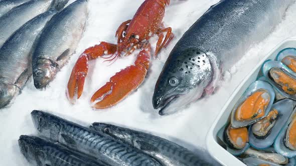 Fish And Shellfish Spread On Ice