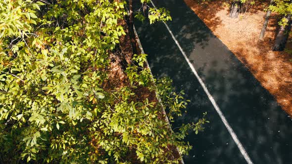 Drone Shooting Of A Family Walk In A Beautiful Autumn Park