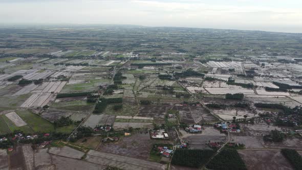 Aerial view wetland paddy field