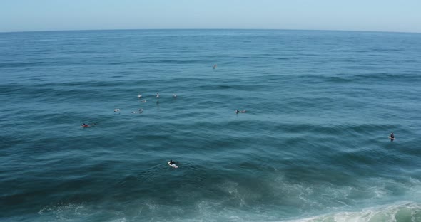 Pelicanos y surf