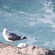 Ocean Waves Beach or Bluff La Jolla Cliff California - VideoHive Item for Sale