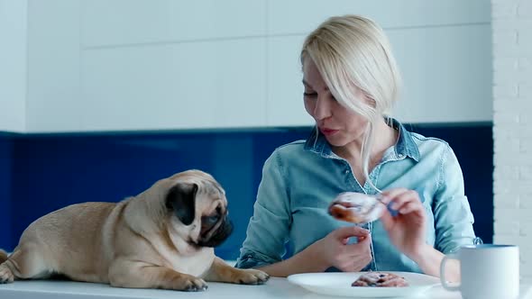 The Owner Teasing the Dog with a Bun