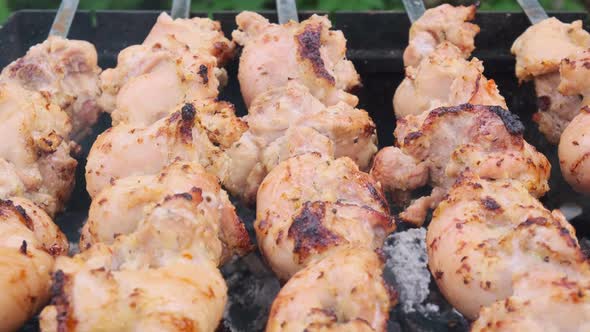 Chicken Skewers Grilling Outdoor