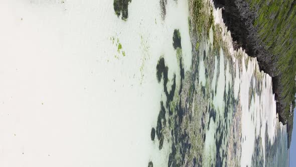 Zanzibar Tanzania  Vertical Video of Low Tide in the Ocean Near the Coast Slow Motion