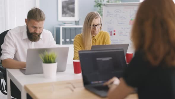 Business People Working in Office