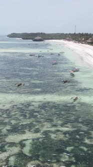 Vertical Video of the Ocean Near the Coast of Zanzibar Tanzania