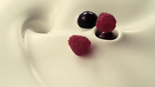 Raspberries and cherries fall down into pouring creamy milk in slow motion